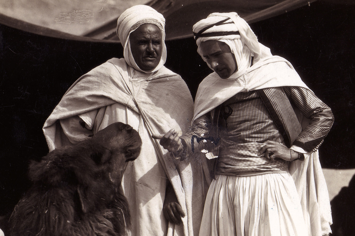 THE ARAB