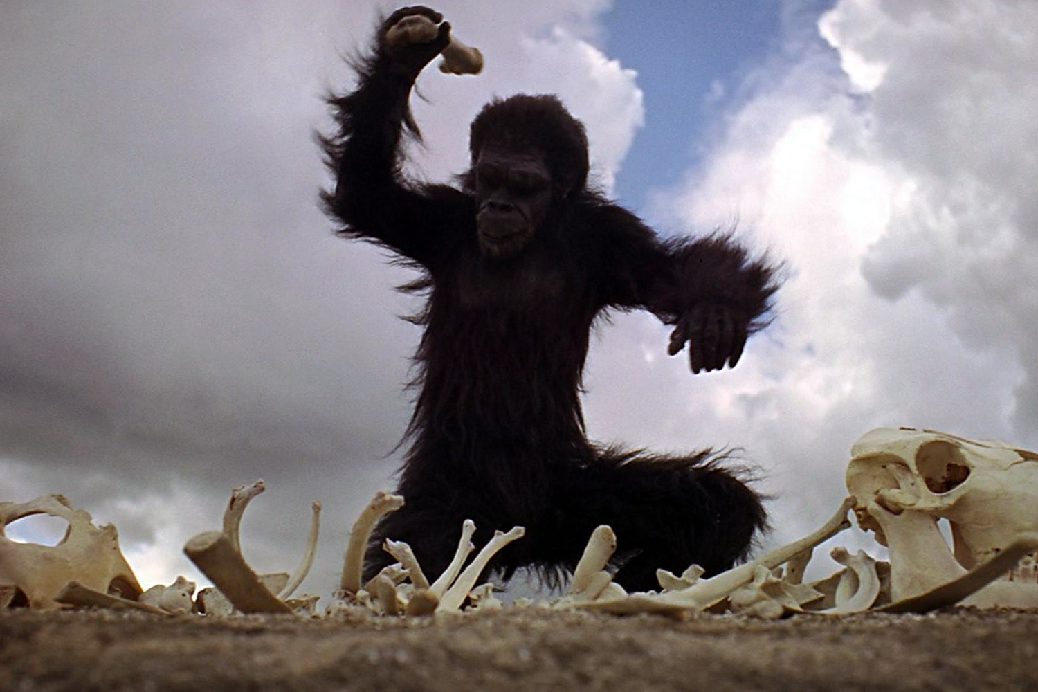 2001: A SPACE ODYSSEY