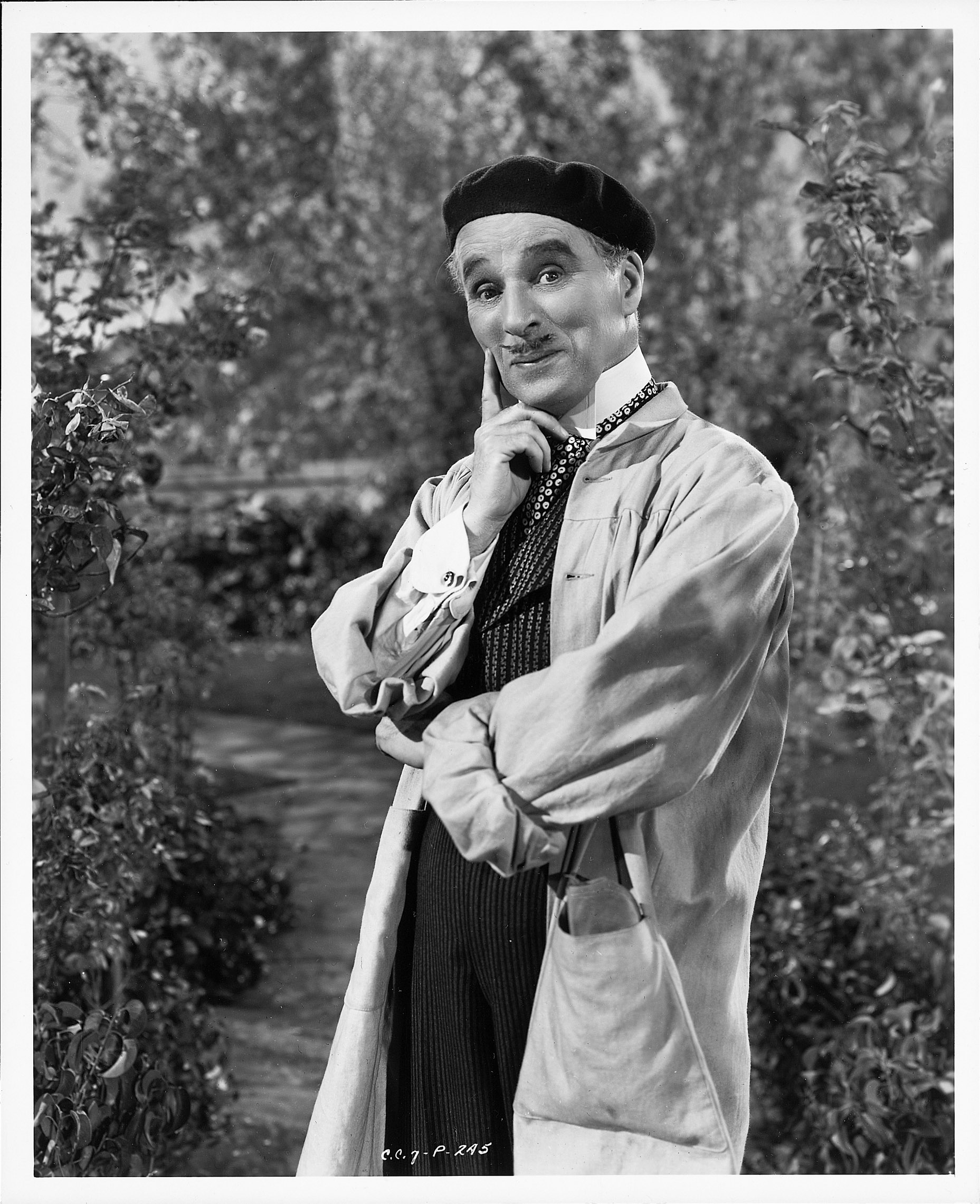Chaplin project