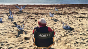 VARDA PAR AGNÈS