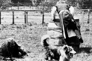 1901: Avanti! Il film – Narrazioni britanniche