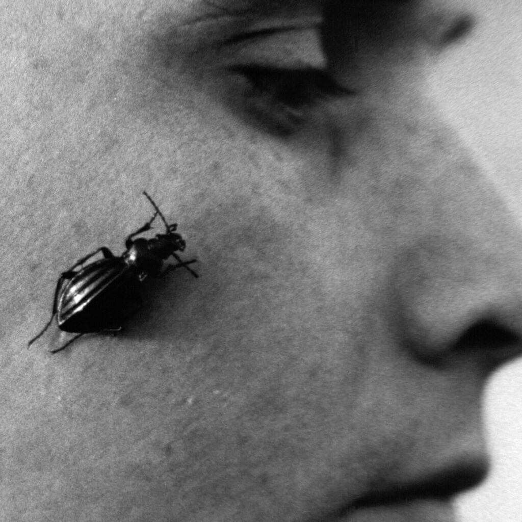 PETER WEISS – POETRY IN MOTION