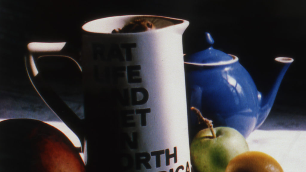 16mm – FOCUS ON JOYCE WIELAND