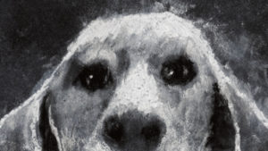 MEMORIE MODERNISSIME. DISEGNI E FILMINI DI STEFANO RICCI