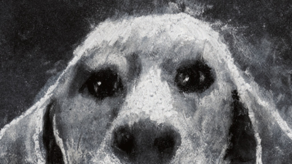MEMORIE MODERNISSIME. DRAWINGS AND LITTLE FILMS BY STEFANO RICCI