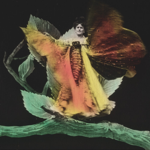 Il secolo del cinema: 1904