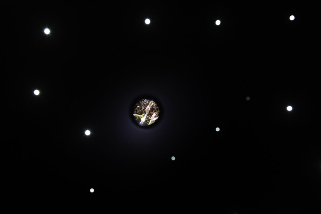 BAR LUNA