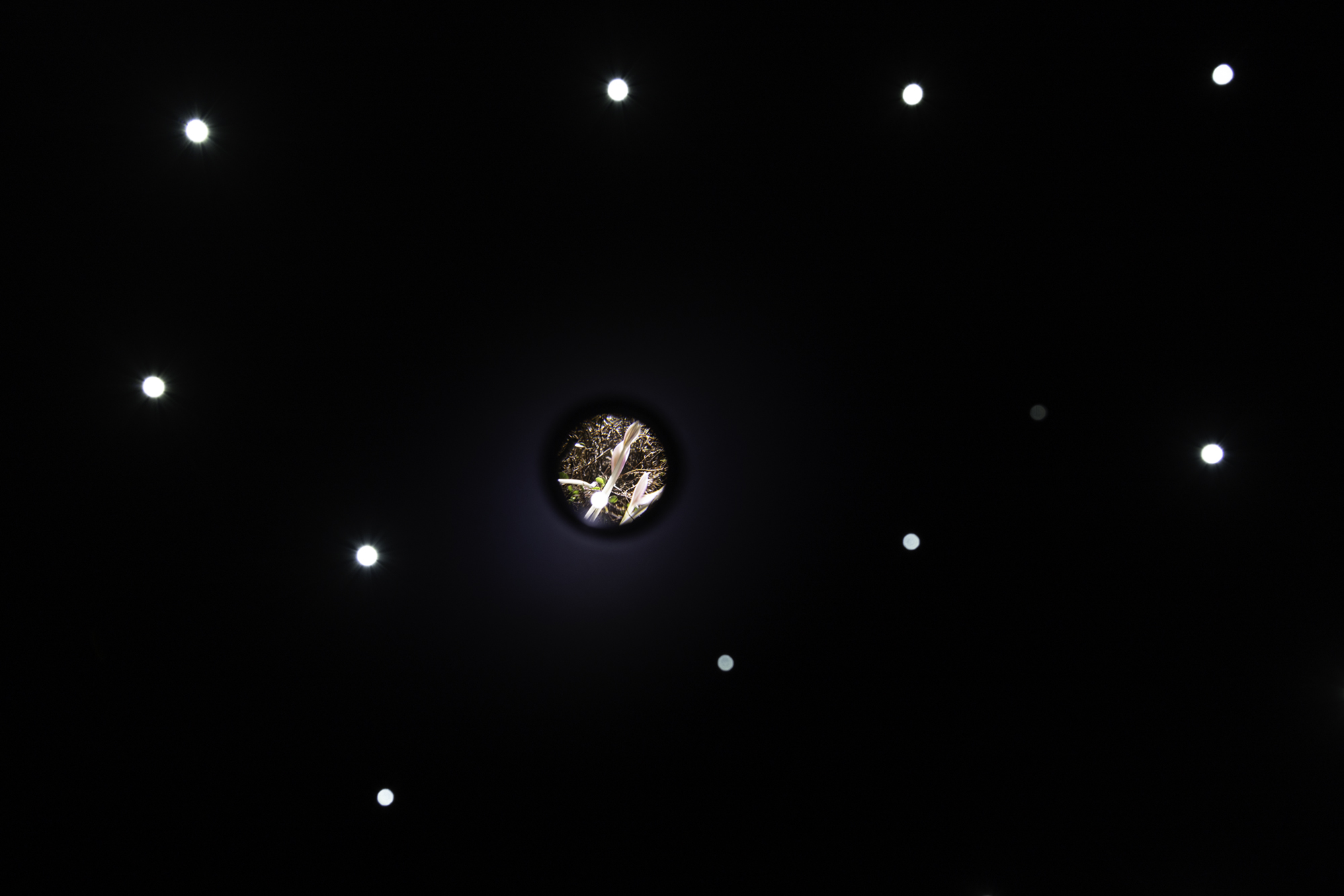 BAR LUNA