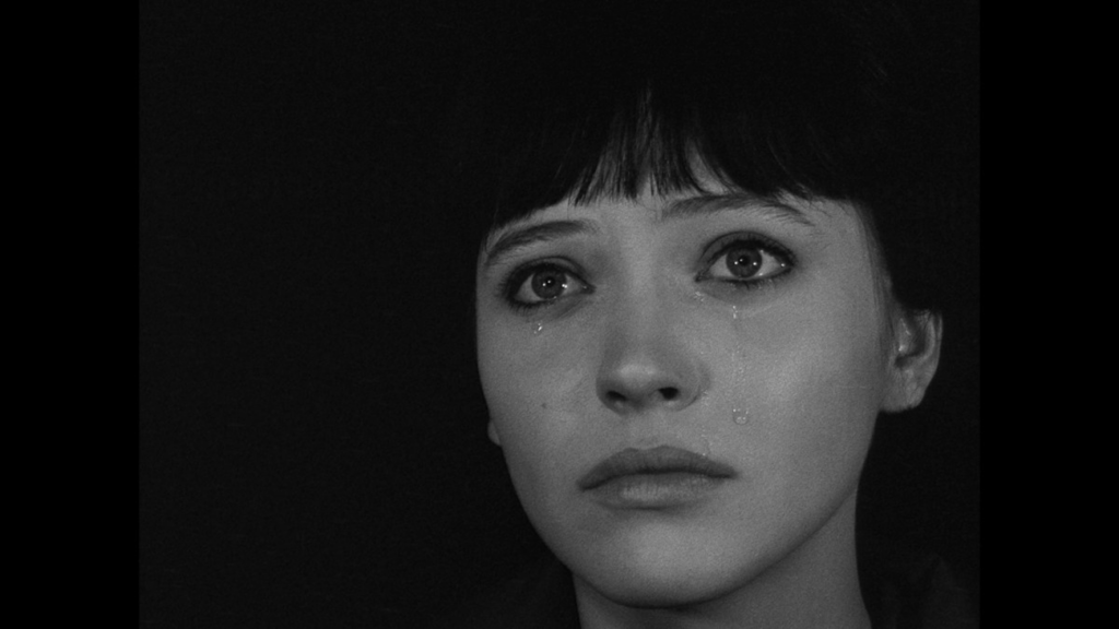 Questa è la mia vita: Anna Karina si racconta