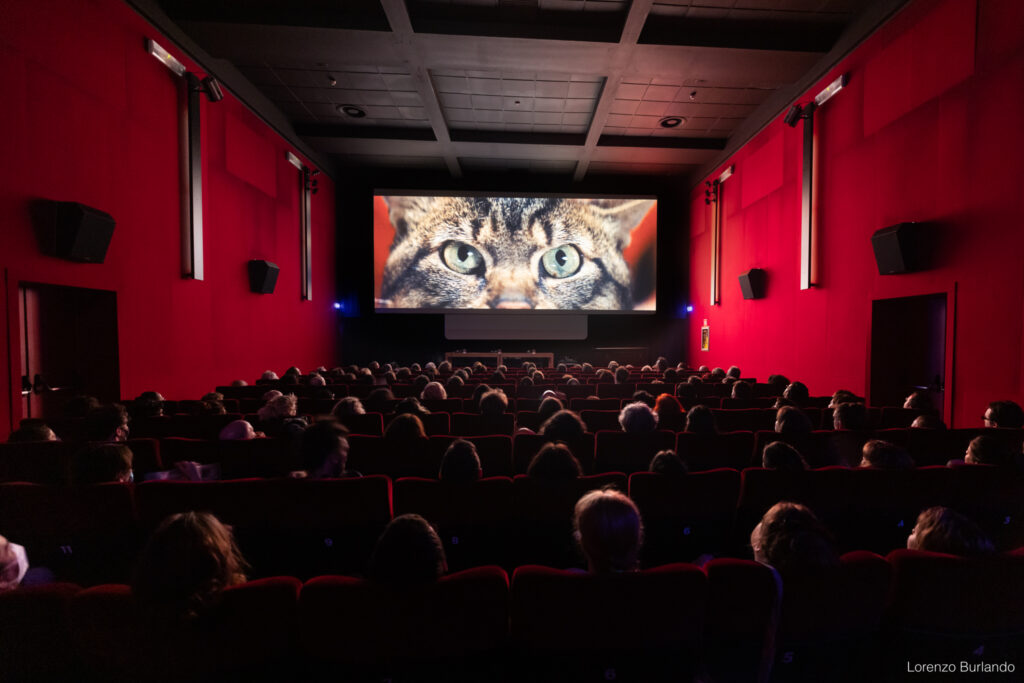 Best of the Fest: Il Cinema Ritrovato