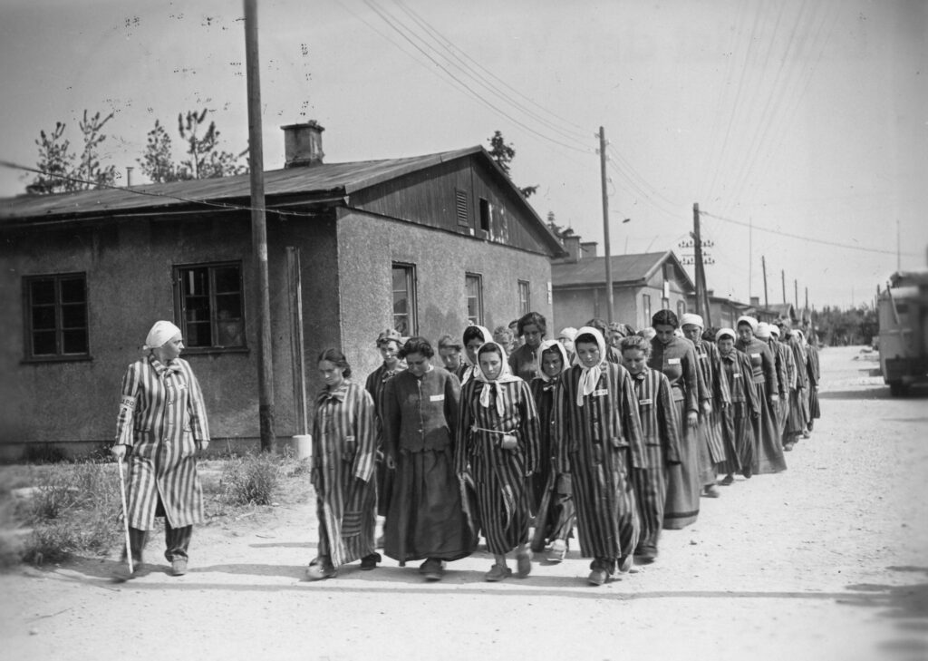 ‘Lunga è la strada’ del cinema della Trizonia