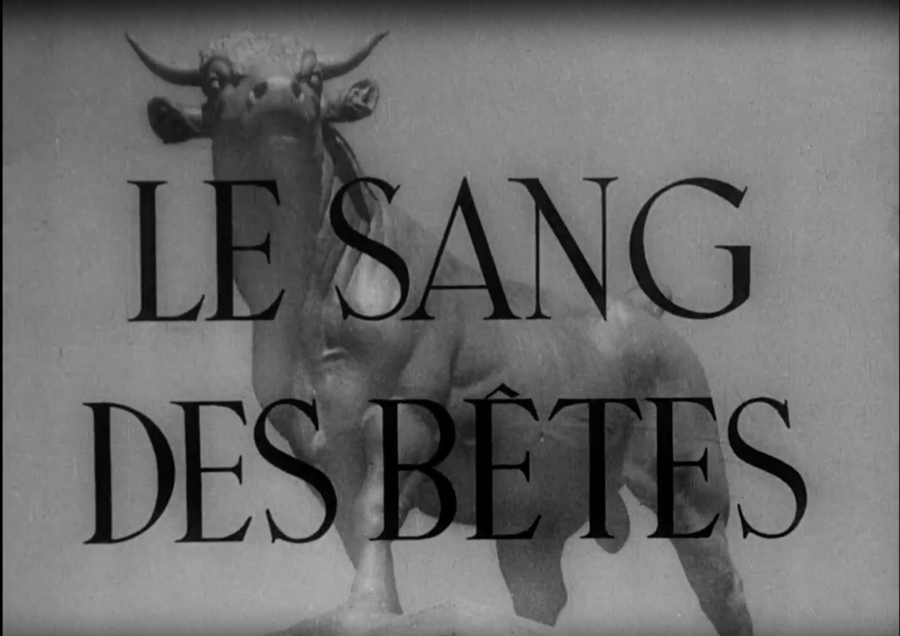 “Memphis Belle” e “Le sang des bêtes”: gli effetti del cinema sulle barbarie umane.