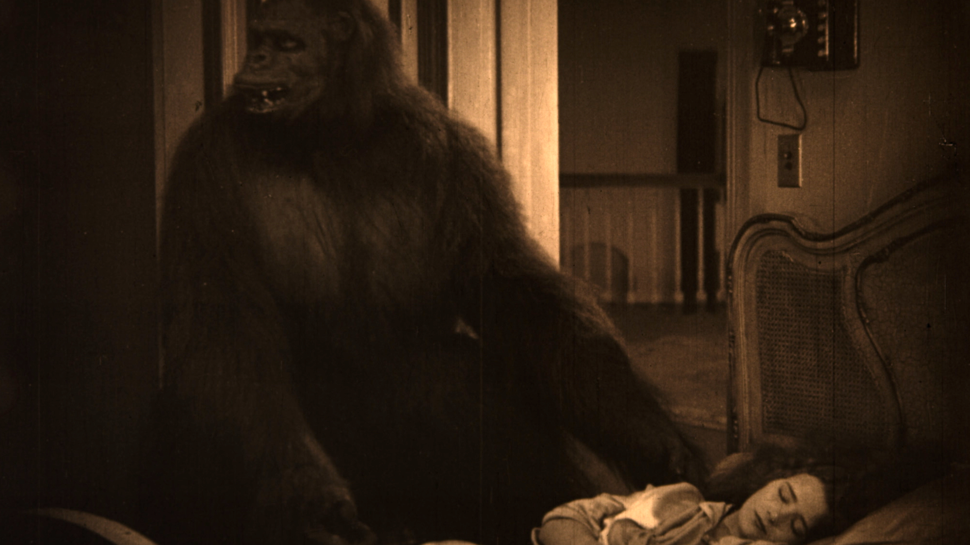 THE GORILLA